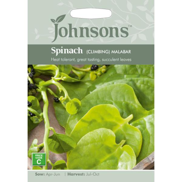 【種子】 Johnsons Seeds Spinach (Climbing) Malabar スピナ...
