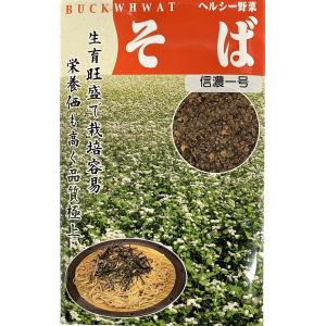 SK9-099 ブロッコリー種子 2000粒 【野菜種子】【サカタのタネ