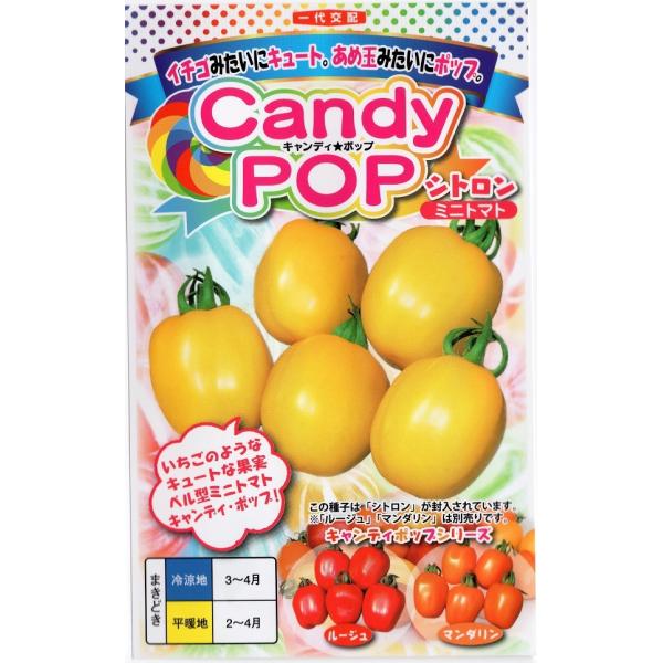【種子】Candy Pop(キャンディポップ) シトロン ミニトマト ナント種苗のタネ