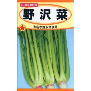 野菜種子 野沢菜 トーホクのタネ