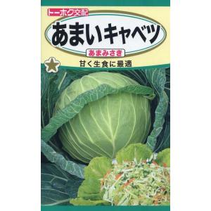 【種子】あまいキャベツ あまみさき トーホクのタネ｜gardeningivy