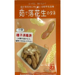 茹で落花生のタネ 郷の香 渡辺農事のタネ