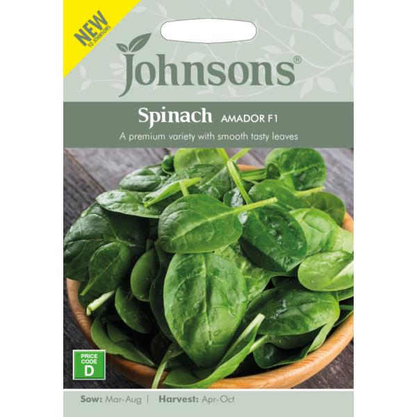 野菜種子 Johnsons Seeds Spinach AMADOR F1 スピナッチ（ほうれんそう...