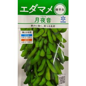 野菜種子 枝豆（えだまめ） サヤムスメ 1L コート種子 雪印種苗