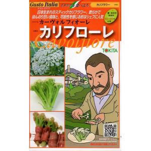 【種子】Gusto Italia カリフラワー カーヴォルフィオーレ カリフローレ トキタ種苗のタネ｜gardeningivy