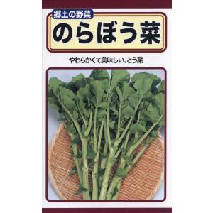 ⭐️ 小松菜のたね 野菜 早取り 無農薬 ♡ 種 自家栽培 水耕栽培 簡単匿名配送 ⭐️ 小松菜のたね 野菜 早取り 無農薬 ♡ 種 自家栽培 水耕栽培 簡単