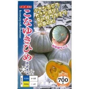 野菜種子 かぼちゃ こなゆきひめ ナント種苗のタネ
