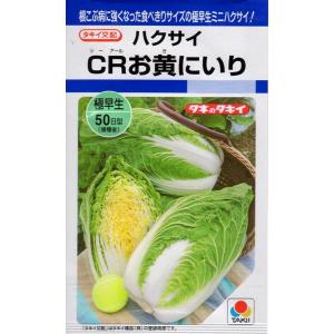 野菜種子 ハクサイ(白菜) CRお黄にいり タキ...の商品画像