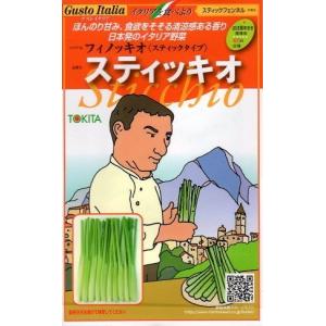 野菜種子 Gusto Italia スティックフェンネル フィノッキオ（スティックタイプ） スティッキオ トキタ種苗のタネ