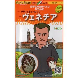【種子】 Gusto Italia トレビス ラディッキョロッソ ヴェネチア トキタ種苗のタネの商品画像