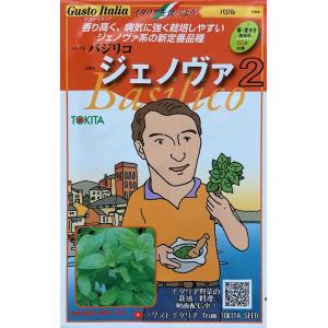 【種子】 Gusto Italia バジル バジリコ ジェノヴァ トキタ種苗のタネ｜gardeningivy