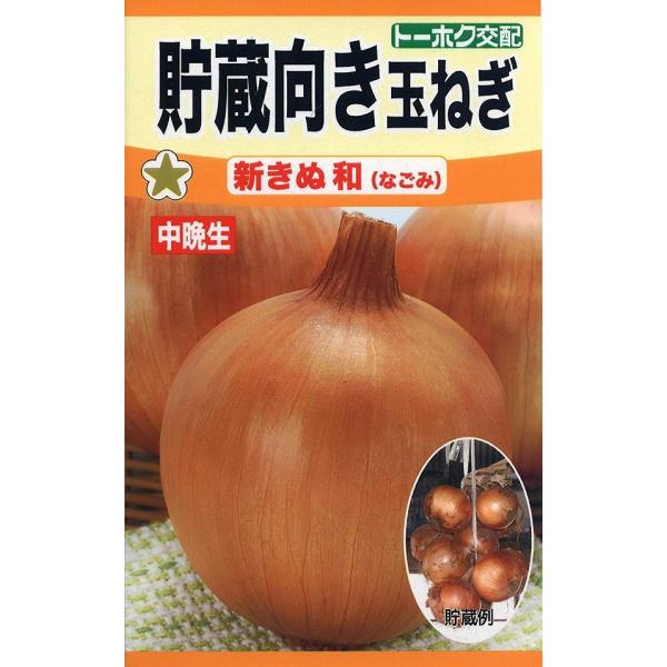 【種子】タマネギ 貯蔵向き玉ねぎ 新きぬ 和（なごみ） 中晩生 トーホクのタネ