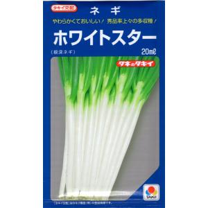 ねぎ 森の奏で 5ml トキタ種苗 : グリーンロフトネモト - 通販 - Yahoo