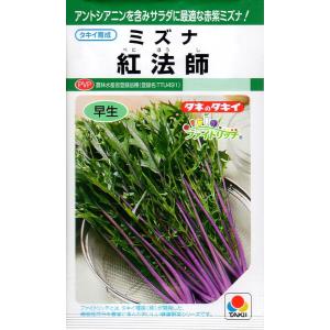 【種子】ミズナ（水菜） 紅法師 タキイ種苗のタネ 農林水産省登録品種 登録品種名 TTU491