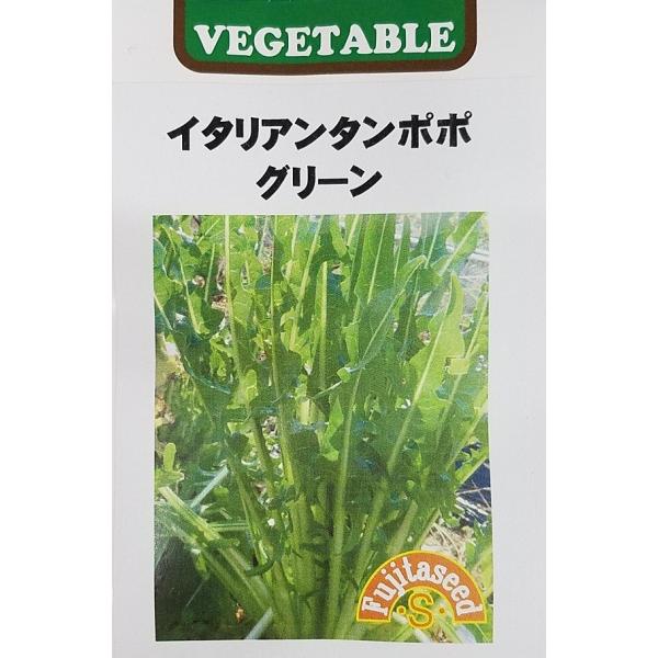 【種子】イタリアンタンポポ グリーン 藤田種子のタネ