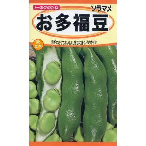 野菜種子 ソラマメ お多福豆 トーホクのタネの商品画像