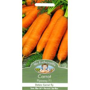 Mr.Fothergill's Seeds Carrot Flyaway F1 キャロット フライアウェイ F1 ミスター フォザーギルズシード