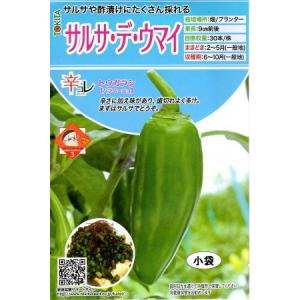 野菜種子 とうがらし 朝鮮なんばん（激辛）福井シードのタネ