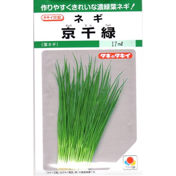 【種子】ネギ 京千緑 タキイ種苗のタネ