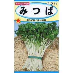 野菜種子 みつば トーホクのタネ