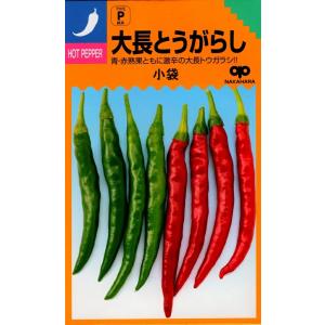 野菜種子 とうがらし 朝鮮なんばん（激辛）福井シードのタネ