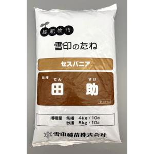 根深ネギ 種 『冬月の雫』 トキタ種苗/コート5000粒 : 種兵ネット