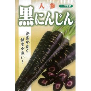 にんじん　コート36黒 黒にんじん 300粒コート【ニンジン種子】沖縄（フタバ種苗）一代交配
