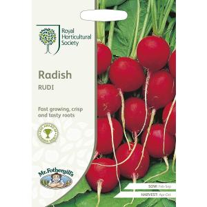 【種子】Mr.Fothergill's Seeds Royal Horticultural Society Radish RUDI RHS ラディッシュ ルディ ミスター・フォザーギルズシード