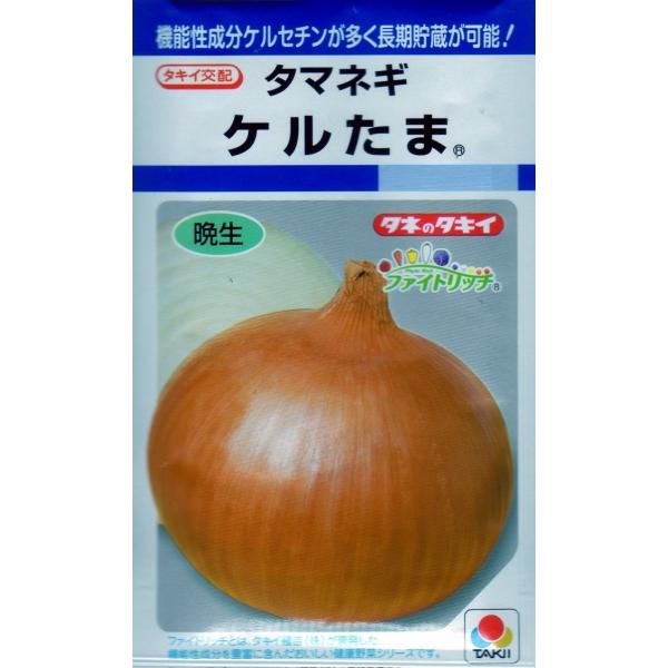 【種子】タマネギ ケルたま タキイ種苗のタネ