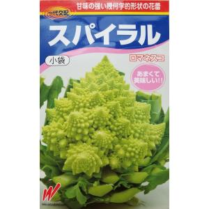 野菜種子 スパイラル ロマネスコ 渡辺農事のタネ