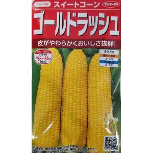 野菜種子 スイートコーン 白いおおもの 2000粒 ナント種苗のタネ