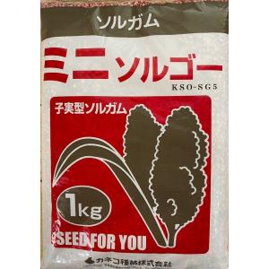 SK9-099 ブロッコリー種子 ペレット5000粒 【野菜種子】【サカタのタネ