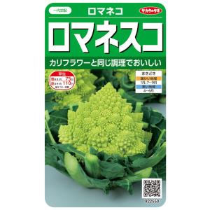 野菜種子 スイートコーン 白いおおもの 2000粒 ナント種苗のタネ