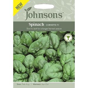 Johnsons Seeds Spinach CORVETTE F1 スピナッチ コルベット F1 ジョンソンズシード