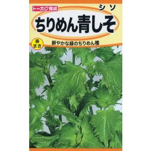 野菜種子 ちりめん 青しそ トーホクのタネ