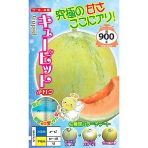 野菜種子 ミニトマト アミちゃん トキタ種苗のタネ : Gardener s Shop