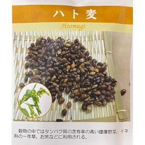 野菜種子 ハト麦 日本タネセンターのタネ