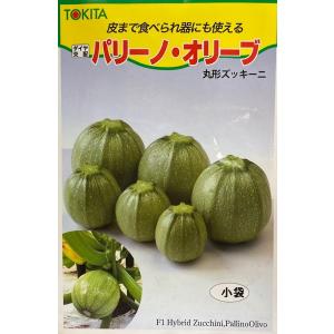 【種子】丸形ズッキーニ パリーノ・オリーブ 小袋 トキタ種苗のタネ｜gardeningivy