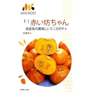 ミニ南瓜種 坊ちゃん 登録品種 みかど協和のミニカボチャ品種 : GREEN