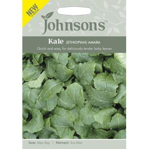 Johnsons Seeds Kale  AMARA ケール  アマラ ジョンソンズシード