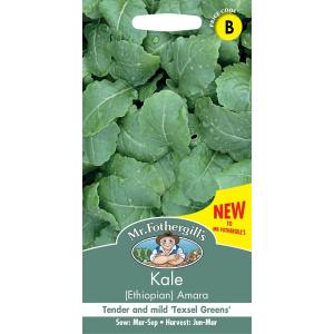 Mr.Fothergill's Seeds Kale  Amara ケール  アマラ ミスター フォザーギルズシード