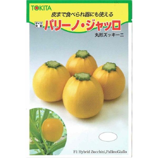 【種子】丸形ズッキーニ パリーノ・ジャッロ 100粒 トキタ種苗のタネ