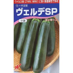 野菜の種/種子 ニーナ S-27 350粒 キュウリ きゅうり （メール便発送