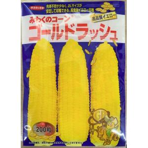 サカタのタネ（サカタノタネ） とうもろこし ゴールドラッシュ86 200粒