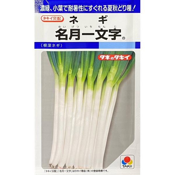 【種子】 ネギ 名月一文字 タキイ種苗のタネ