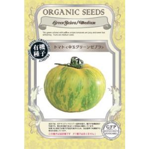 ニンジン／イエローストーン黄色  グリーンフィールドプロジェクトのタネ