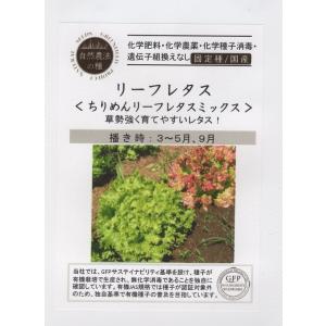 リーフレタス  グリーンフィールドプロジェクトのタネ