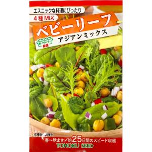 野菜種子 サニーレタス スーパーレッド トーホクのタネ : Gardener s