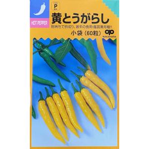 野菜種子 とうがらし 朝鮮なんばん（激辛）福井シードのタネ