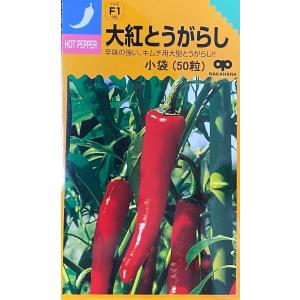野菜種子 とうがらし 朝鮮なんばん（激辛）福井シードのタネ